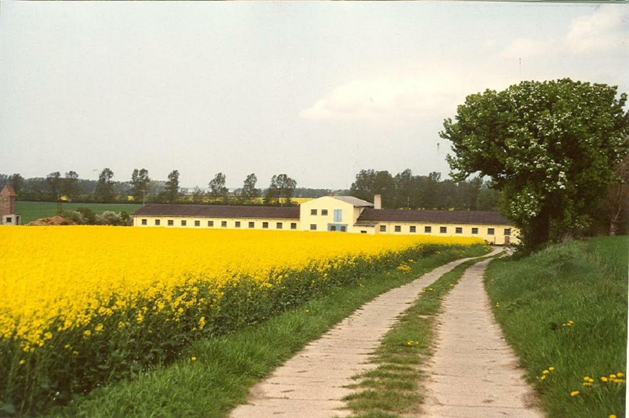 Hof Kranichweide, Ferienwohnung "Skinfaxi" Saal Exterior photo